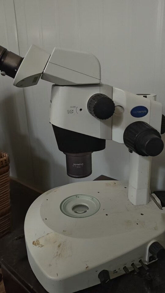 4月8日北京【京械4600】单位淘汰报废处置显微镜一台网络拍卖公告