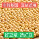 东北农家黄豆500g非转基因新黄豆颗粒饱满黄豆打豆浆专用黄豆1