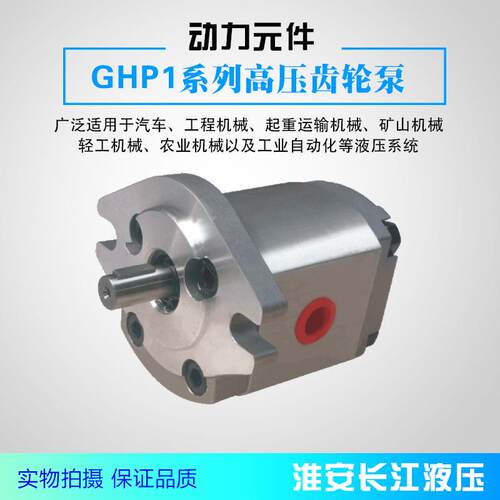 GHP1系列高压液压齿轮油泵厂家直发现货供应质量好长江液压