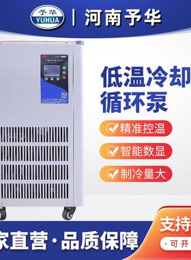 仪器低温冷却液循环泵DLSB-100/20100/30100/40100/8