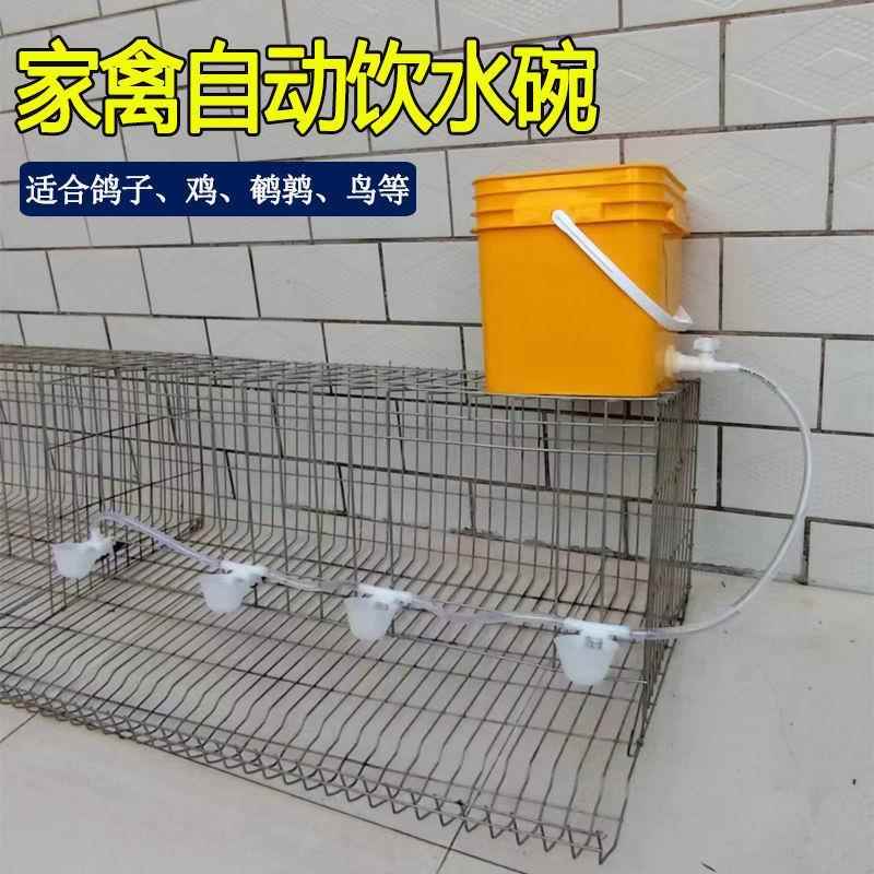 家禽自动饮水器给水喝水碗喂水槽农村家用养殖鸡鸭鹅鹌鹑鸽子鸟类