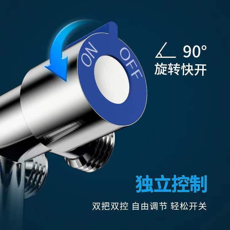 新款直销马桶伴侣套装304不锈钢压妇洗器卫生间双用冲洗压喷头水