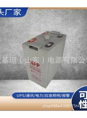 NPP耐普胶体密封式储能蓄电池NPG2V-50Ah100A150A200A胶体蓄电池