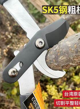 黑铁匠粗枝剪大力剪绿化修枝剪园林剪剪枝剪刀果树大枝剪长柄剪刀