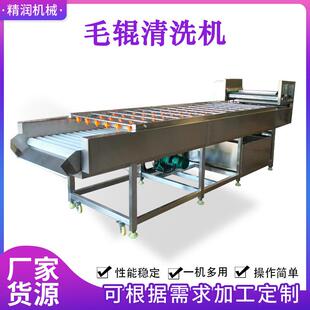 胡萝卜毛辊清洗机土豆毛辊去皮清洗设备猕猴桃毛辊清洗去毛机