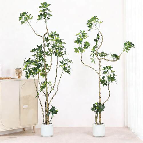 仿鸭脚木盆物栽轻奢室内装饰植厅沙发旁大型真落鸭脚木客地盆栽造