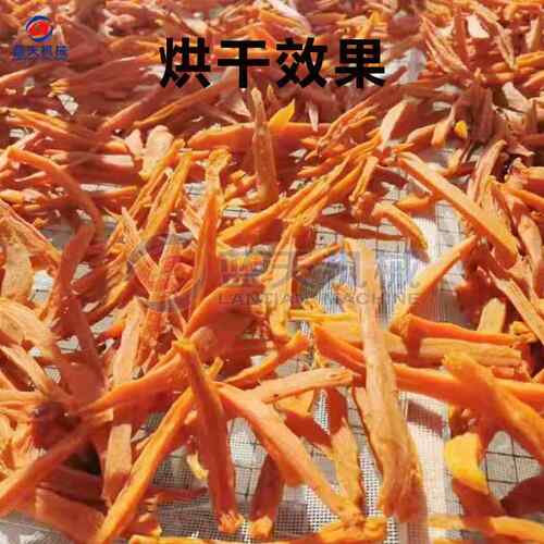 陕西红薯干干烘干机红全自动薯LT-HSJ条红薯片烤电干机地瓜干烘房