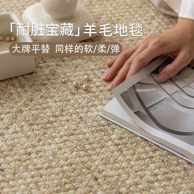 羊毛地毯客厅耐脏易打理纯色侘寂素色卧室高级感拍照地毯大面积