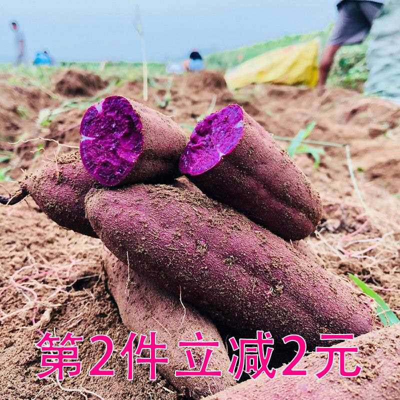 新鲜大紫薯地瓜农家自种紫心大紫番薯红薯五斤装包邮价
