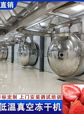 全自动真空冻干草莓脆设备 果蔬脆新一代FD低温真空干燥机