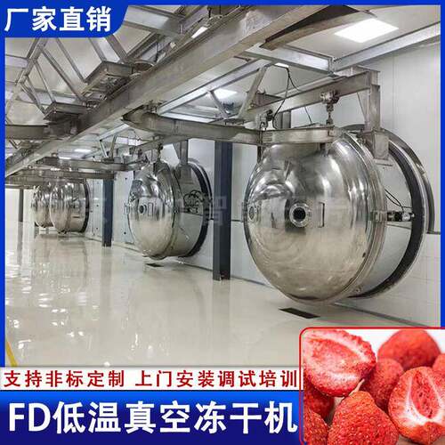 全自动真空冻干草莓脆设备 果蔬脆新一代FD低温真空干燥机