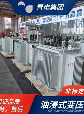 青电变压器厂 S13-M-400 500 630KVA油浸式变压器S20、S22系列