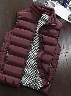 Men in vest, handsome men, warm vest, thick vest, men's