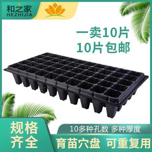 蔬菜育苗盒32孔50孔芽菜穴盘育苗盘水稻播种培养盆小麦草种植盘盆