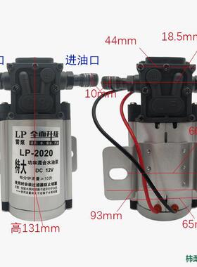 电动抽油型泵12V2V240V2伏自吸RGE泵汽油泵柴油泵加油机抽油器小