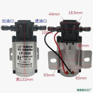 电动抽油型泵12V2V240V2伏自吸RGE泵汽油泵柴油泵加油机抽油器小