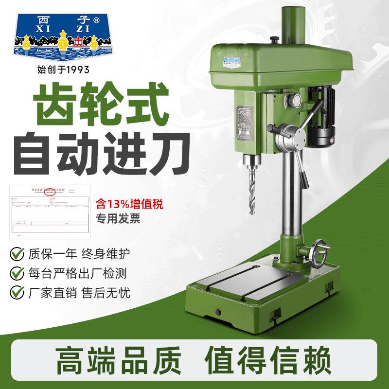 西湖绿齿轮式台钻自动进刀钻床ZB4125 大功率工业级钻攻两用机床Z