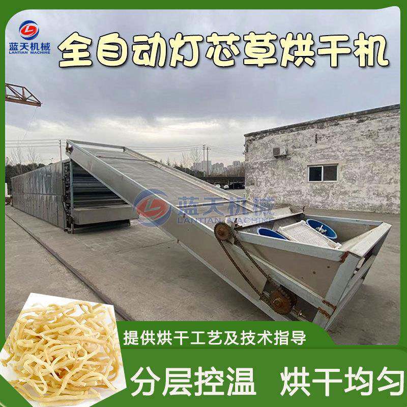 灯芯草烘干机 全自动水灯心龙须草中药材脱水烘干设备 秧草干燥机