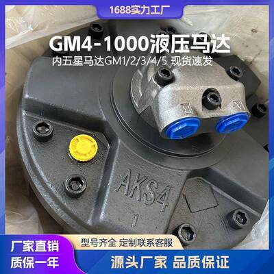 液压马达GM4-1000-1G-D40五星马达SAI注塑机溶胶马达开舱马达