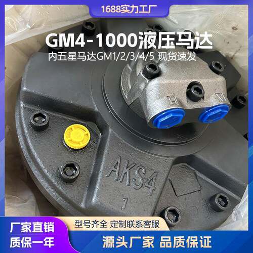 液压马达GM4-1000-1G-D40五星马达SAI注塑机溶胶马达开舱马达