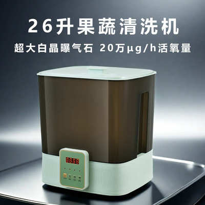 净食机果蔬清洗机去农残全自动多功能洗菜机净化器果蔬净化器