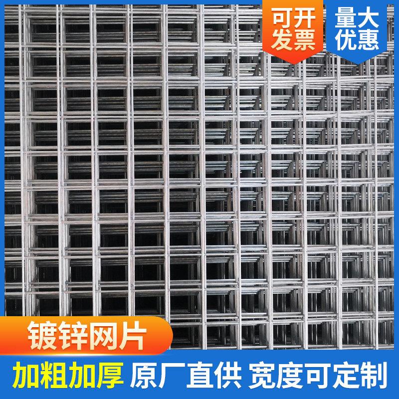 镀锌电焊网片铁丝建筑钢筋网格铁网格网加粗小孔狗笼养殖网钢丝网