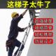 升降折叠直梯加粗加厚多功能伸缩梯子家用便携不锈钢室内外宿 包邮