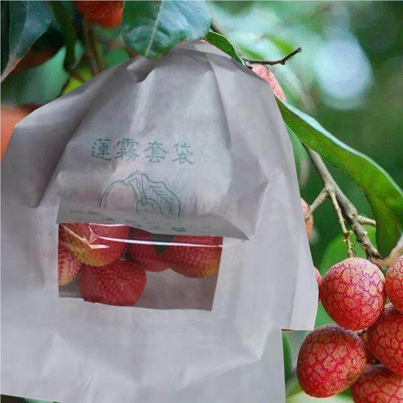 皮果套袋眼荔枝桂圆防虫桃防鸟袋释迦果子柚子石榴黄水LMI果保护