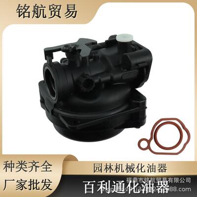 汽化器适用于百力通591160 300e 450e 500e 550e 575e 600e发动机