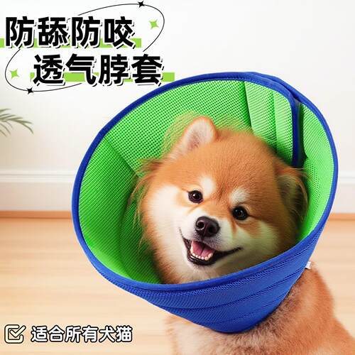 狗狗伊丽莎白圈加深软夏季透气猫咪防咬头套柯基小中型犬防舔脖圈