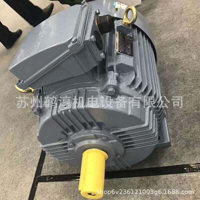 marathon(马拉松） LEB系列制动型电机