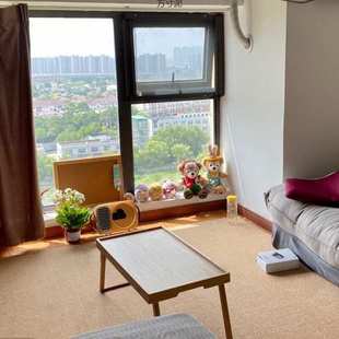 拍照地毯客厅卧室出租房加厚满铺裁剪大面积日系地垫工厂一件批发
