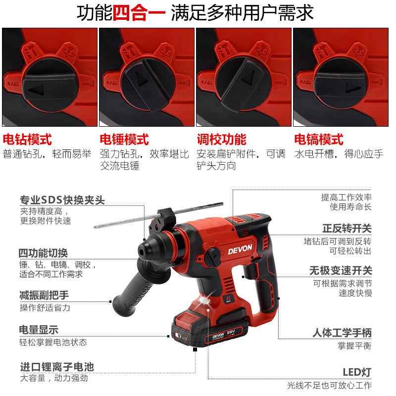 大有（Devon）2V刷电锤5401多功能锂SSL电锤电充电锤无电镐两用0