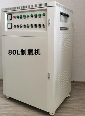 80L工业制氧机高密度水产增氧室内增氧焊机切割助燃氧气发生器