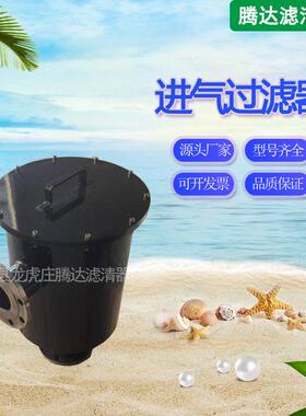 干式螺杆真空泵进气过滤器粉尘杂质过滤可用接口尺寸可选