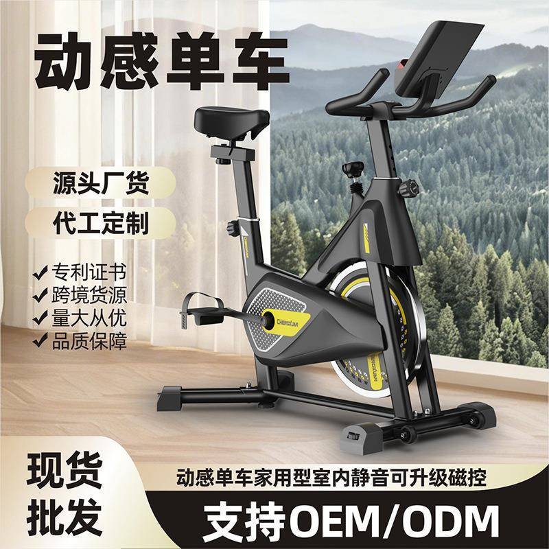 动感单车室内运动器材静音健身器材塑身健身车家用磁力自行车