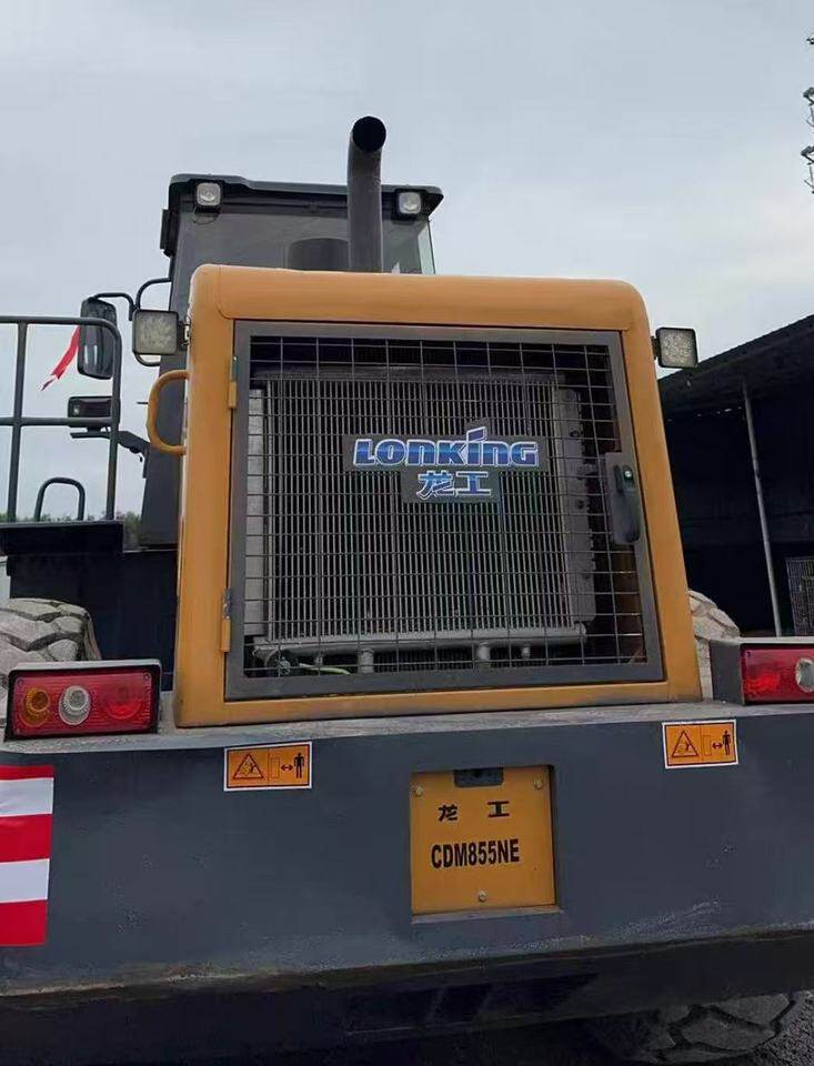 3月16日巴音郭楞蒙古自治州龙工855装载机网络拍卖公告