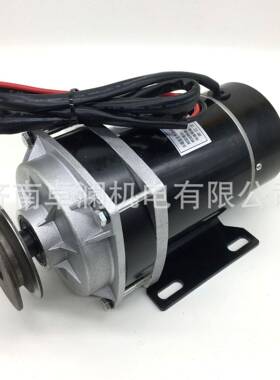 600W48V36V有刷直流电机单槽皮带轮传动MY1120ZXF