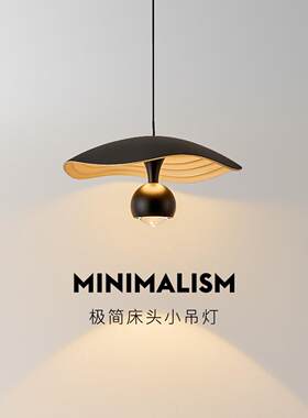 新款北欧轻奢饭厅卧室升降简约现代家用吧台书房客厅烤漆床头吊灯