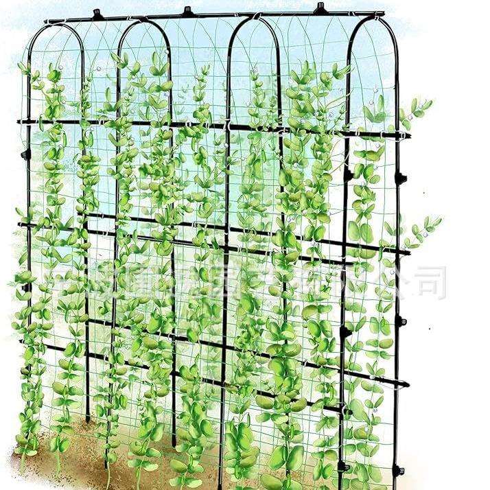 户外攀爬植物花园支架黄瓜丝瓜种植爬藤U型架子蔬菜生长爬藤架