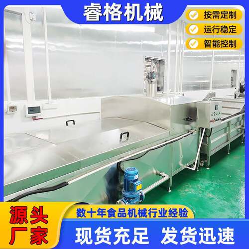 供应果蔬气泡清洗线 白菜韭菜气泡清洗机 不锈钢果蔬清洗加工设备