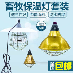 仔猪保温箱灯育雏鸡苗取暖灯泡灯罩可调温度加热小鸡猪养殖带线罩