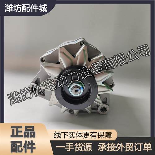 潍柴动力WP10WP12WP13船用柴油发动机原车配件1002029740发电机
