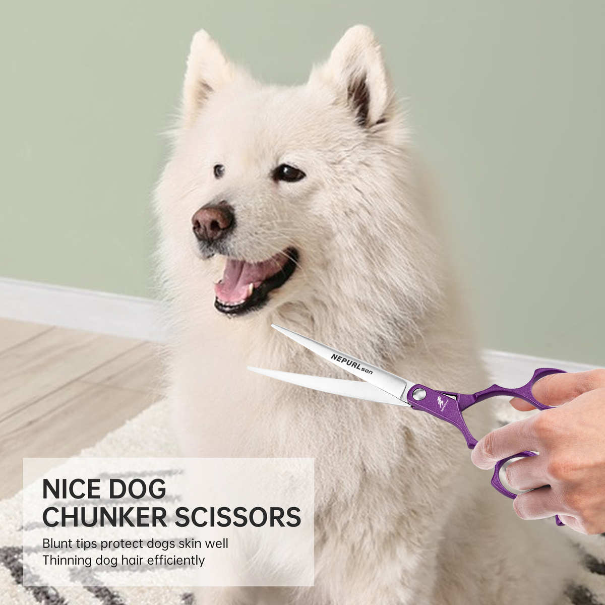 6.5寸7.0寸 彩色双尾 分体美登款柄 宠物剪刀 宠物弯剪