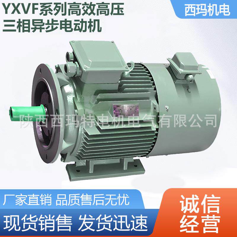 西安西玛电机YXVF-4001-6极315W6V高压变频交流三相异步电动机
