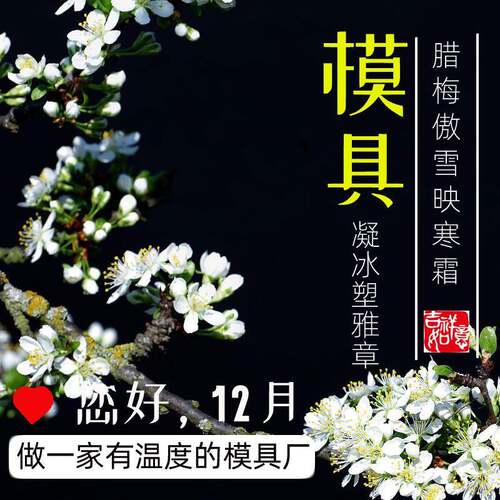 【昆山】塑胶注塑模具加工精密百万模次注塑加工江苏注塑模具厂