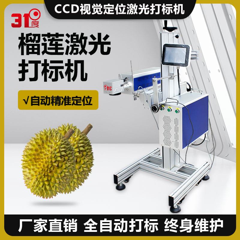 31度CCD视觉定位流水线激光打刻机榴莲椰子壳刻字机可乐塑料雕刻
