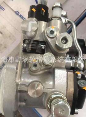 喷油泵0044200021111100-B6L-0000和0044120411111100AA0Y-0000