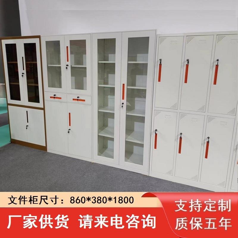 福建钢制更衣柜员工宿舍铁皮存包储物柜子带锁碗柜鞋柜