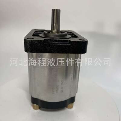 CBTt-F330F 左旋 E571001 20Mpa 单联液压泵